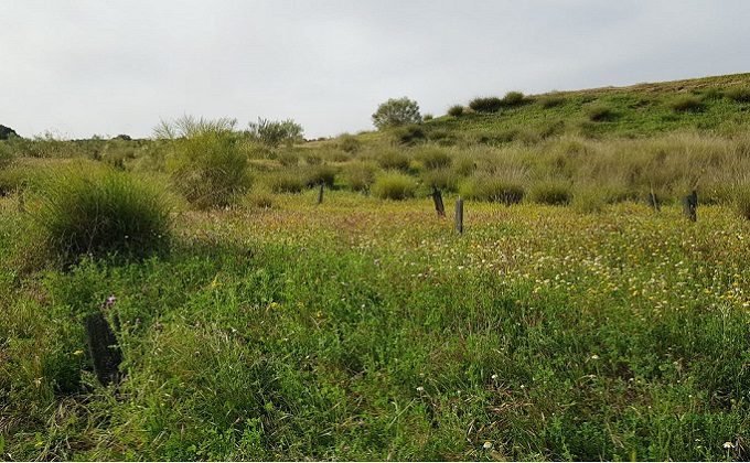 Finca donde está previsto realizar la plantación de árboles gracias al acuerdo con la Federación Provincial de Hostelería y Turismo de Granada.