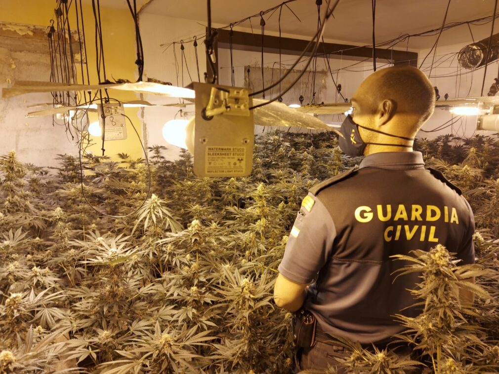 Marihuana Guardia Civil