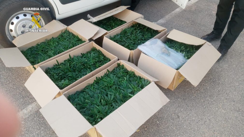 La Guardia Civil intercepta un furgoneta en la A-92N con 1500 plantones de cannabis sativa