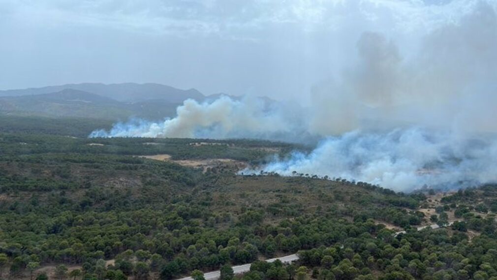 Incendios.- Continúa el trabajo por tierra para dar por controlado el fuego de Albuñuelas (Granada)