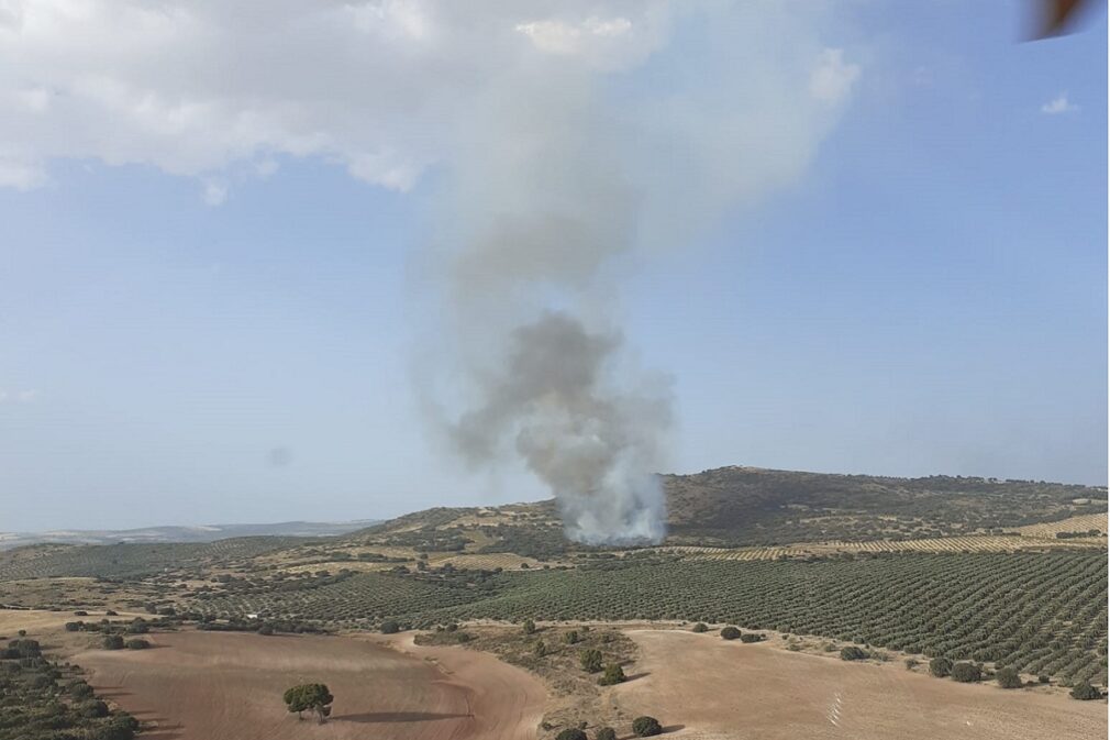 incendio iznalloz - piñar