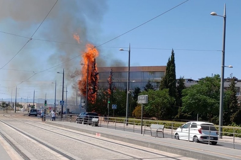 incendio-pts-granada-buena