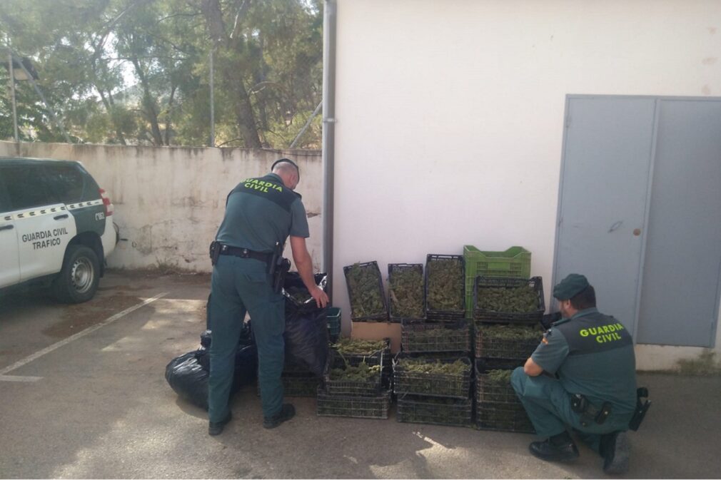 marihuana jayena guardia civil