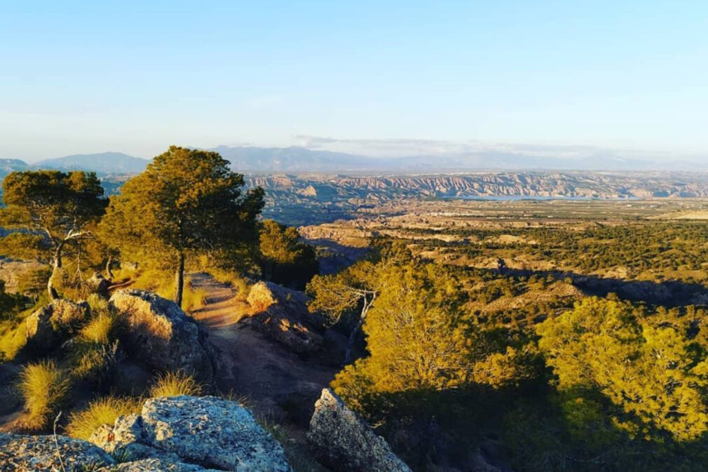 Monte Pajarillo 01