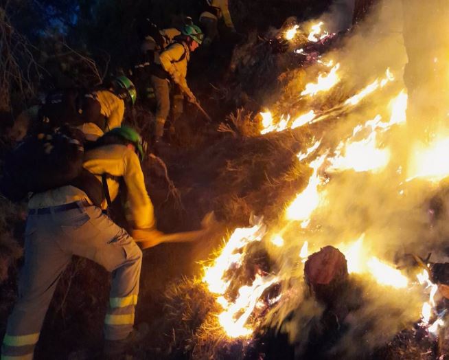 Efectivos del Plan Infoca trabajan en el incendio forestal de Los Guájares