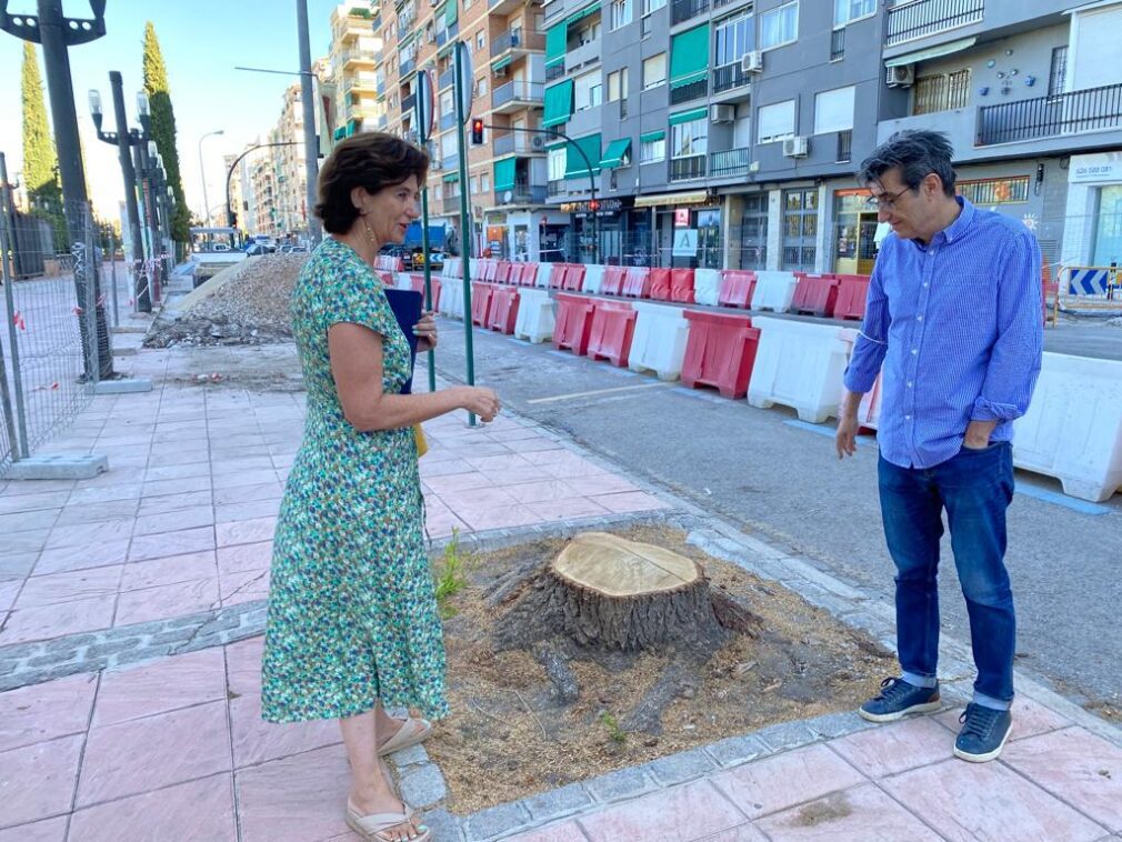 Elisa Cabrerizo Antonio Cambril tala de 12 árboles sanos calle Arabial