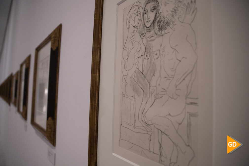 Exposición Picasso-5