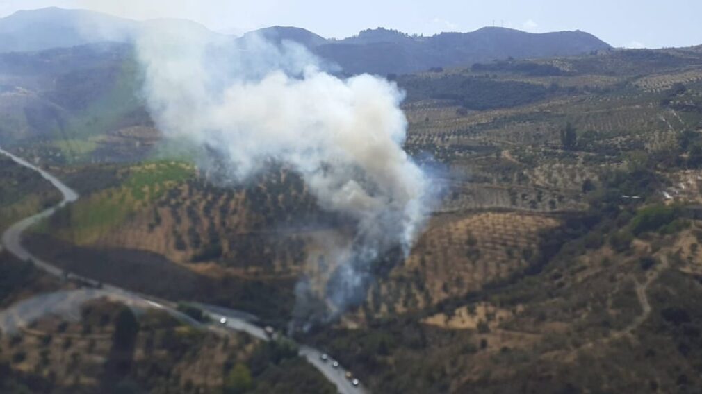 Incendio Pinos Puente