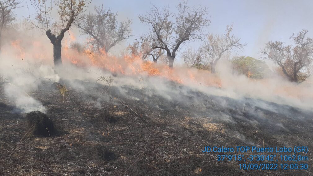 Incendio Pinos Puente septiembre 2022