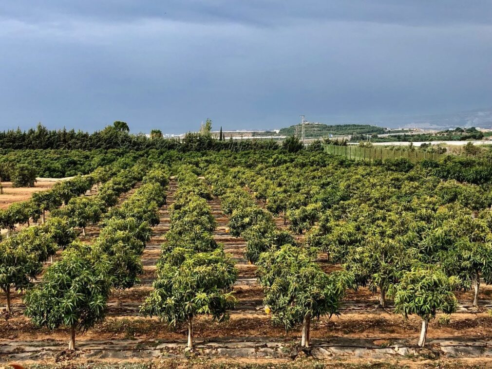 Finca Experimental La Nacla-Puntalón de Caja Rural Granada