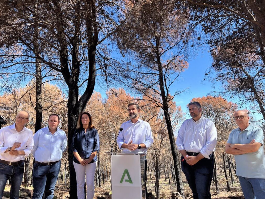 Granada.-Incendios.-El fuego quema en Los Guájares 4.000 hectáreas y el consejero confía en que la meteorología mejore