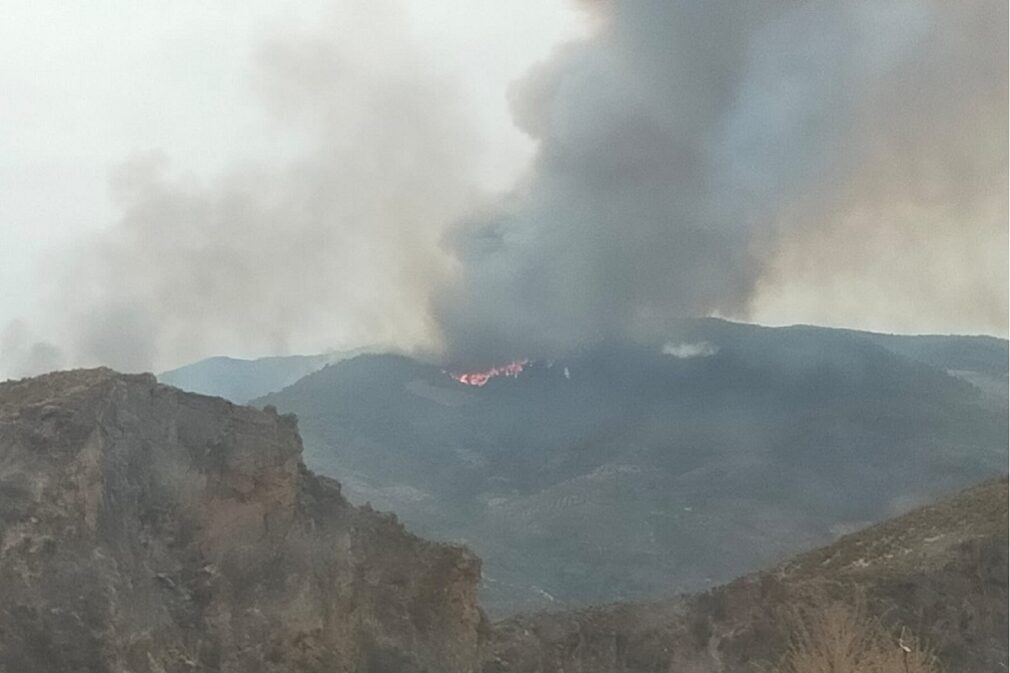 incendio los guajares - foto subdelegacion del gobierno