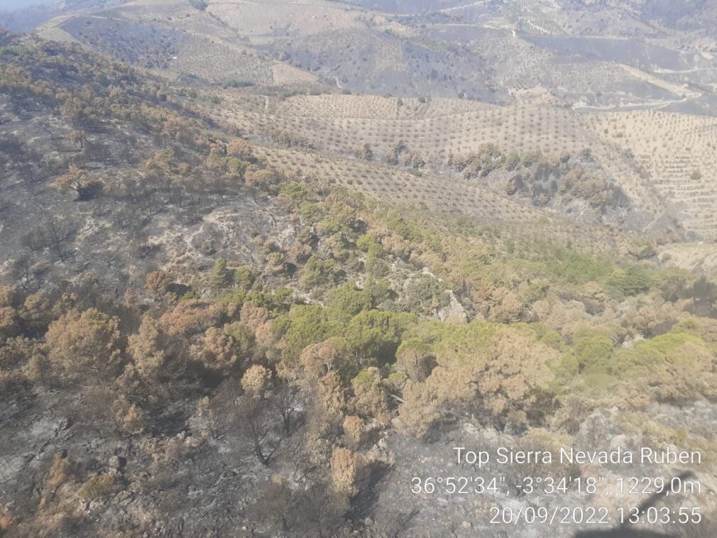 Extinguido el incendio forestal de Los Guájares