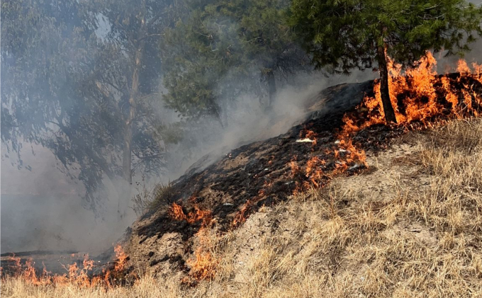 Incendio Forestal Cenes de la Vega