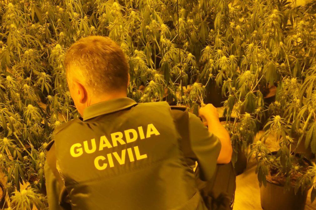 Marihuana cuadra de caballos Salar Granada