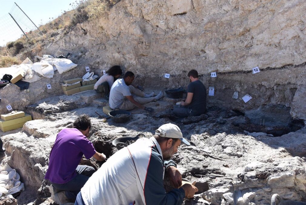 yacimiento Barranco las Seguidillas Baza