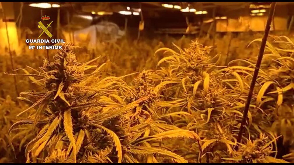 Granada.- Sucesos.- Sorprendidos tres individuos con más de dos kilos de marihuana en una finca de Vélez de Benaudalla