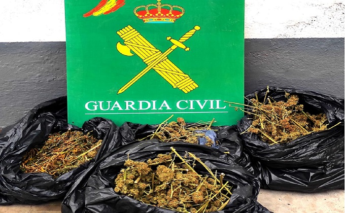 marihuana cortijo tablones orgiva