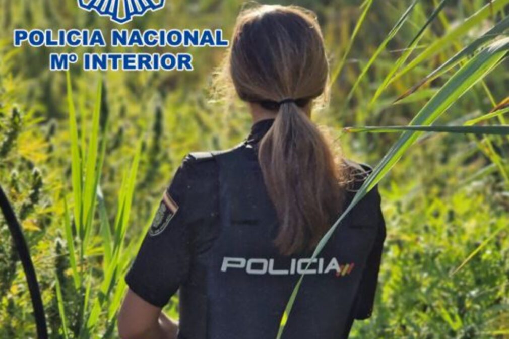 plantacion-exterior-marihuana-motril-policia-nacional