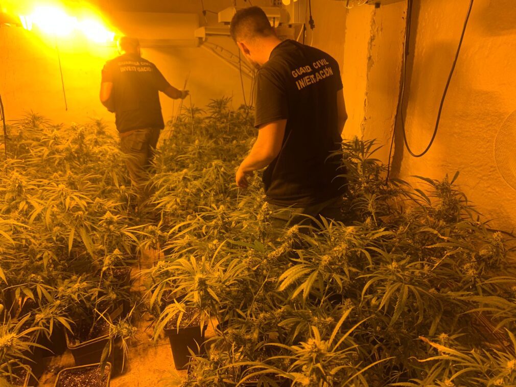 La Guardia Civil encuentra siete centros de producción de marihuana.