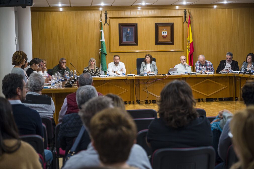 pleno ayuntamiento de armilla_74