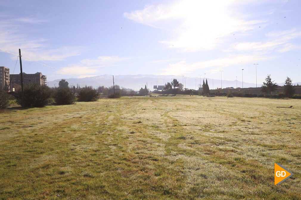 El Ayuntamiento proyecta un bosque urbano con una extensión de once campos de fútbol- Celia Pérez-21 (19)