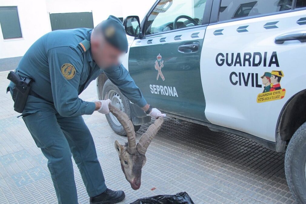Granada.- Sucesos.- Dos investigados por cazar furtivamente un ejemplar de cabra montés en Puebla de Don Fadrique