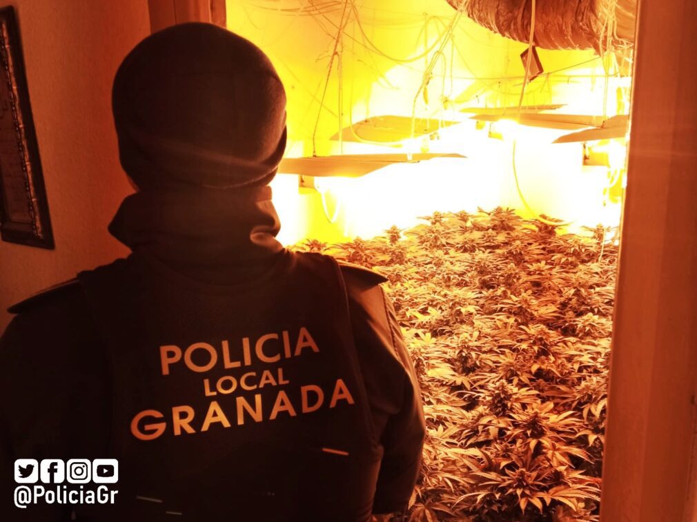 Marihuana Policía Local de Granada