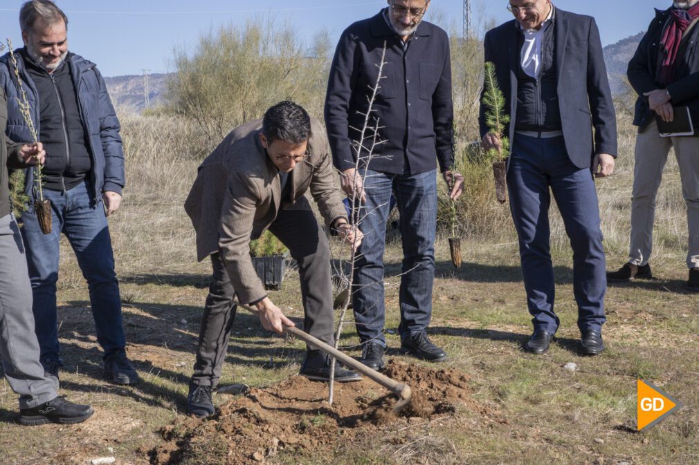 Más de 14.000 árboles para restaurar el entorno del vertedero de Víznar - Celia Pérez-2