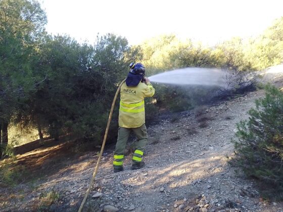 Un bombero del Infoca apaga las llamas producidas en el segundo incendio | Foto: Remitida