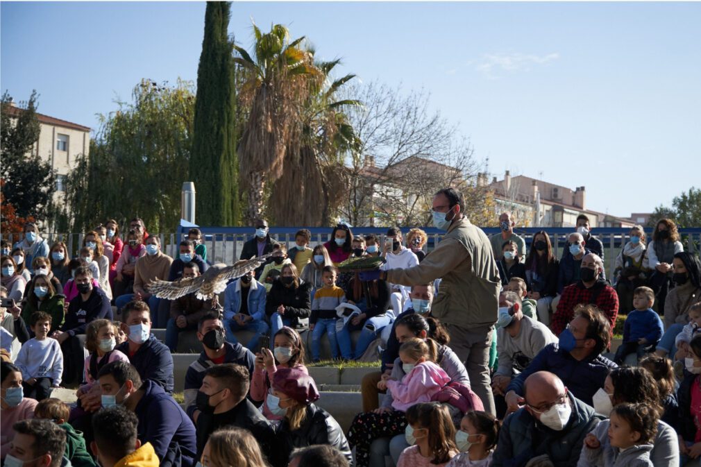 parque-ciencias-taller-aves-rapaces-granada