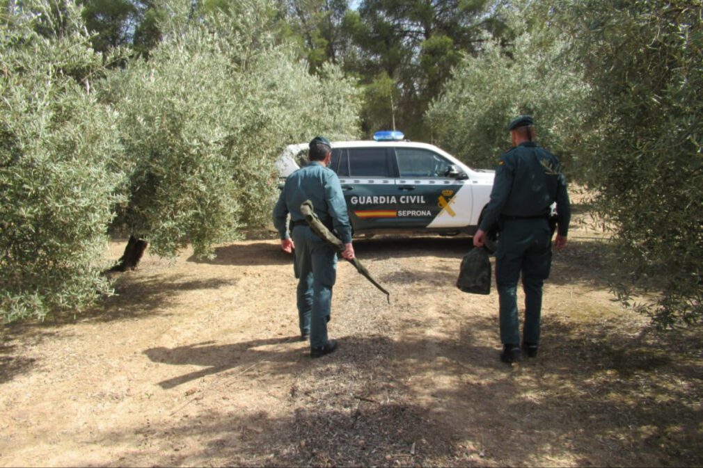 Seprona guardia civil