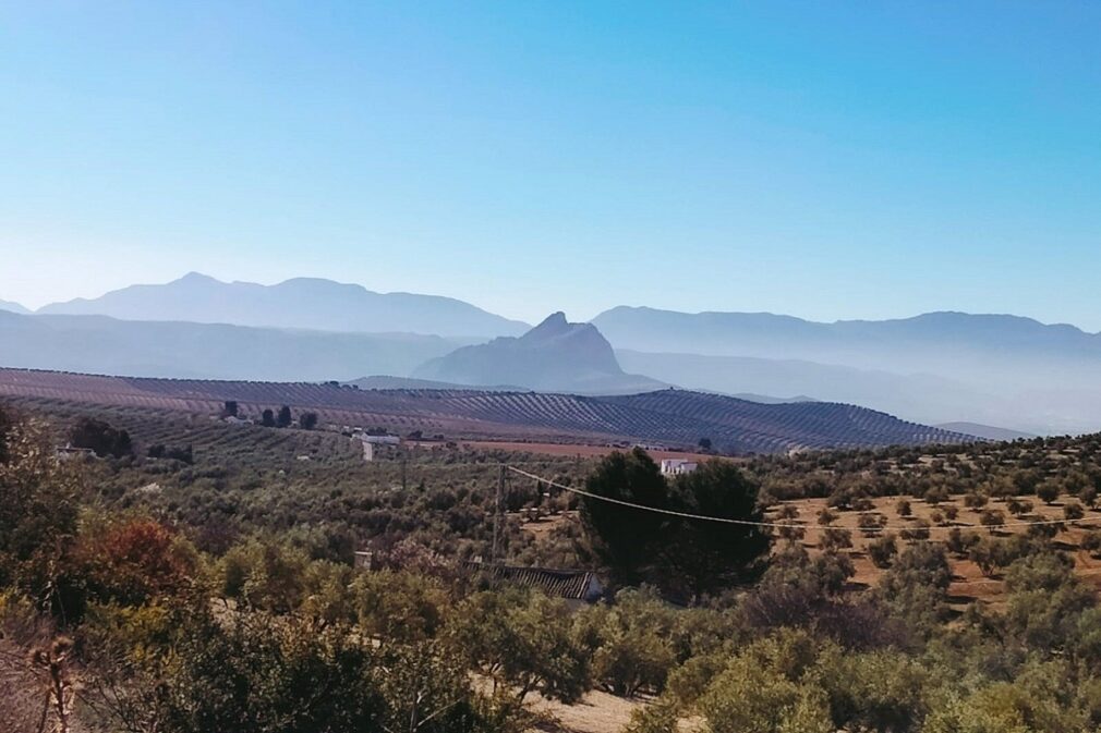 Granada.-Cerca de 10.000 agricultores de la provincia recibirán ayudas para compensar la subida de los fertilizantes