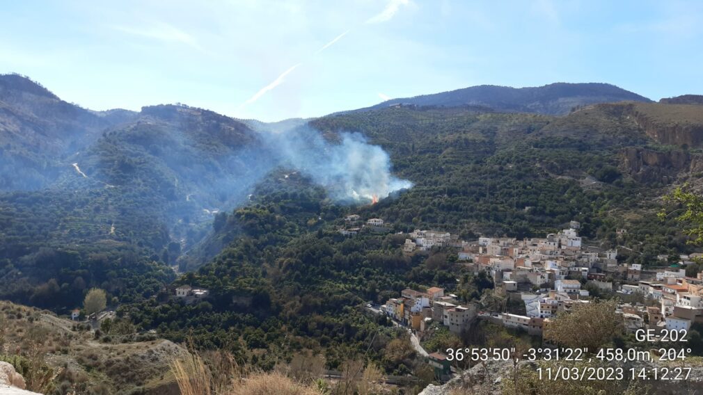 Incendio Forestal El Pinar, Barranco de Ízbor