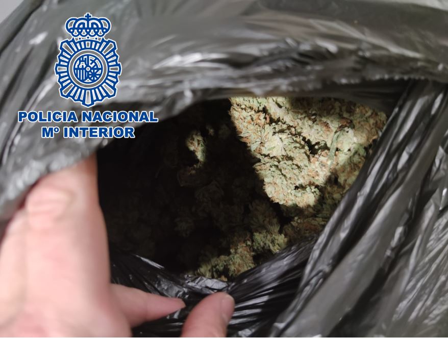 Marihuana intervenida Policía Nacional