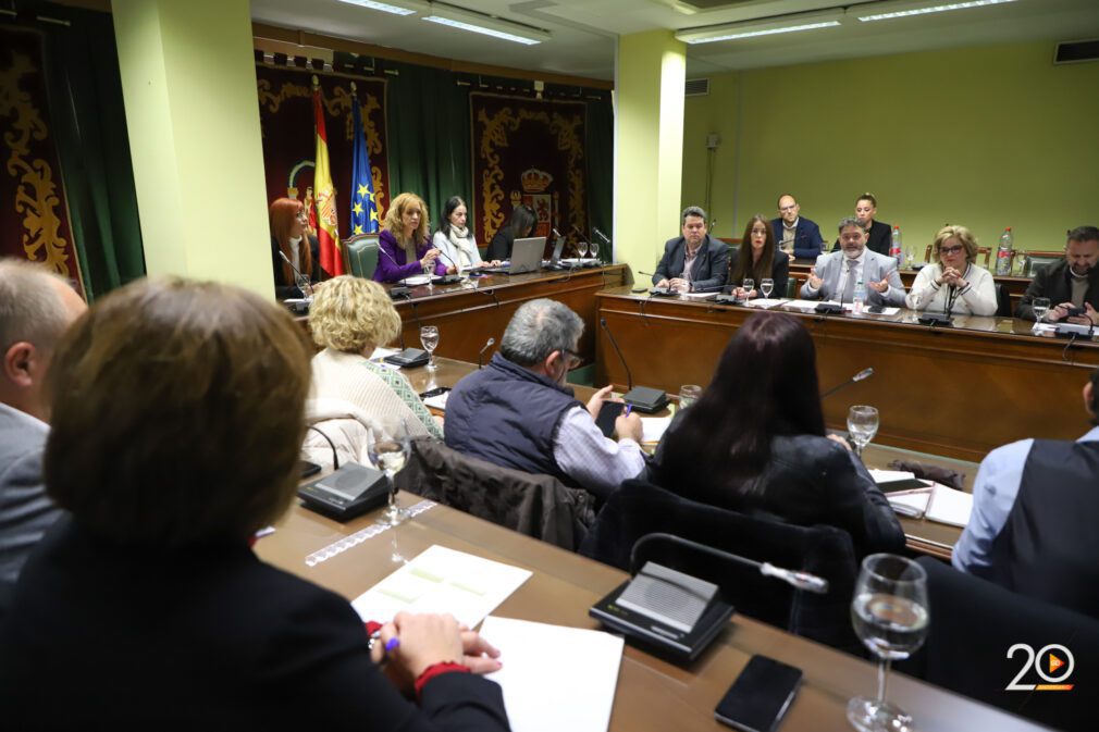 pleno ayuntamiento de maracena - celia perez (4 de 50)