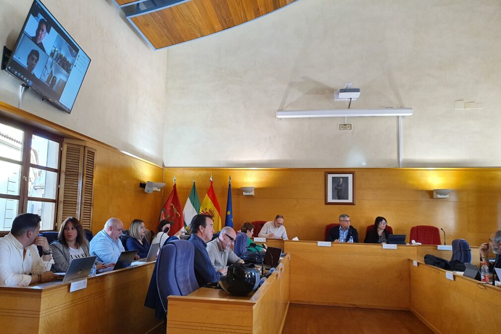 pleno ayuntamiento guadix