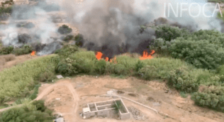 incendio forestal orgiva