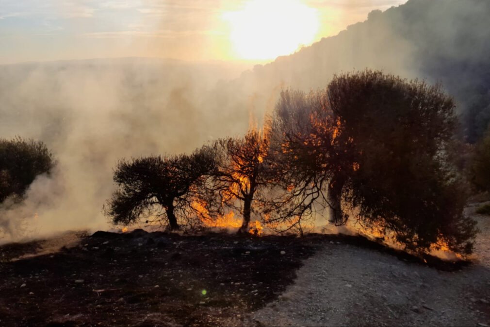 incendio paraje Haza Grande