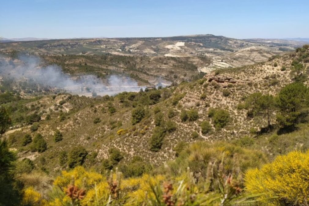 Incendio arenas del Rey paraje