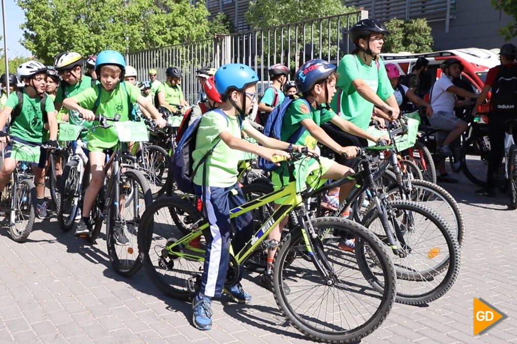 Más de 2 500 escolares pedalean por la capital en defensa de la Vega de Granada - celia perez-18 (17)