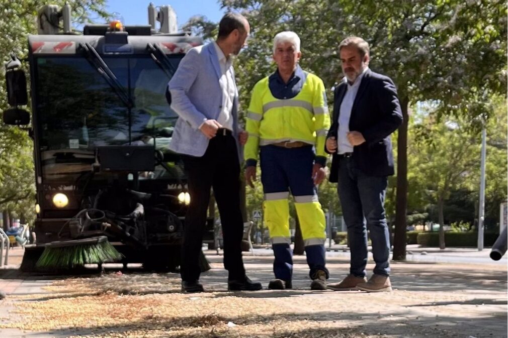 Granada.- El Ayuntamiento inicia la limpieza de semillas de Melias para evitar posibles caídas de los viandantes