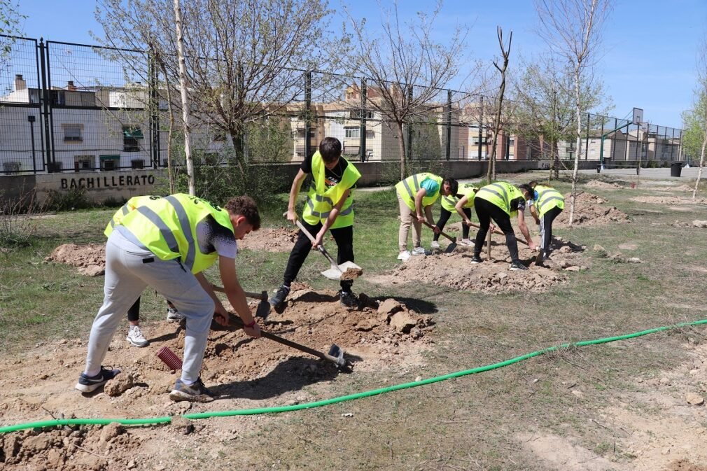 alumnos ies manuel de falla de maracena plantan árboles