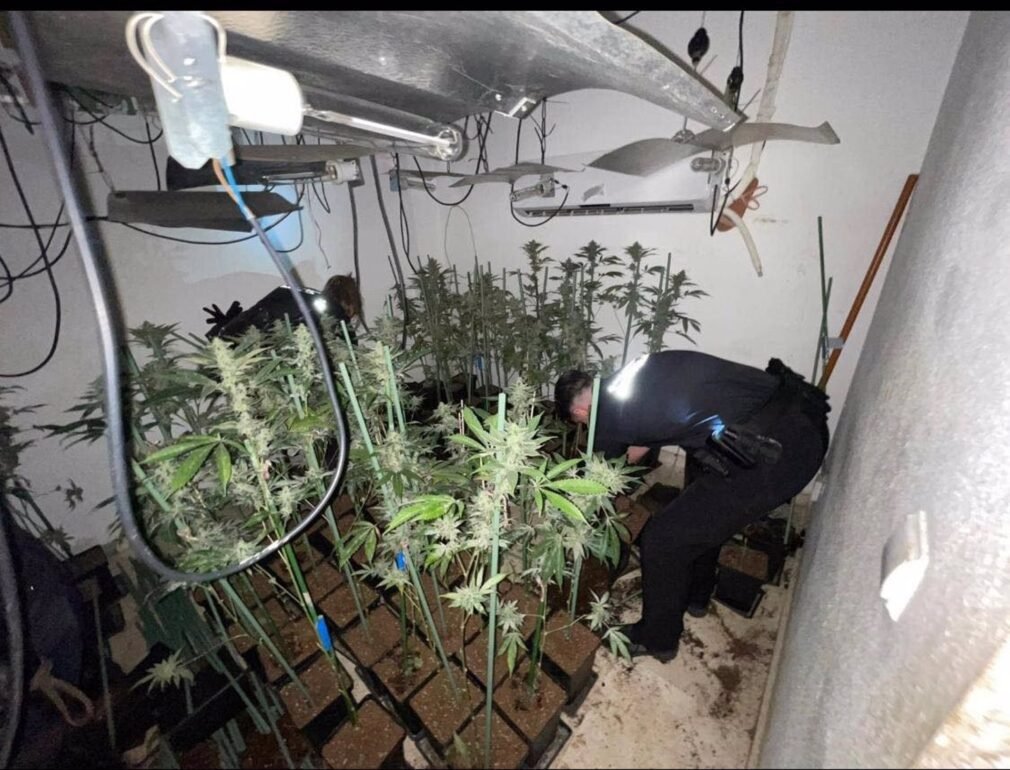 Granada.-Sucesos.- Una fuga de agua destapa un centro de producción de marihuana en un inmueble de Armilla