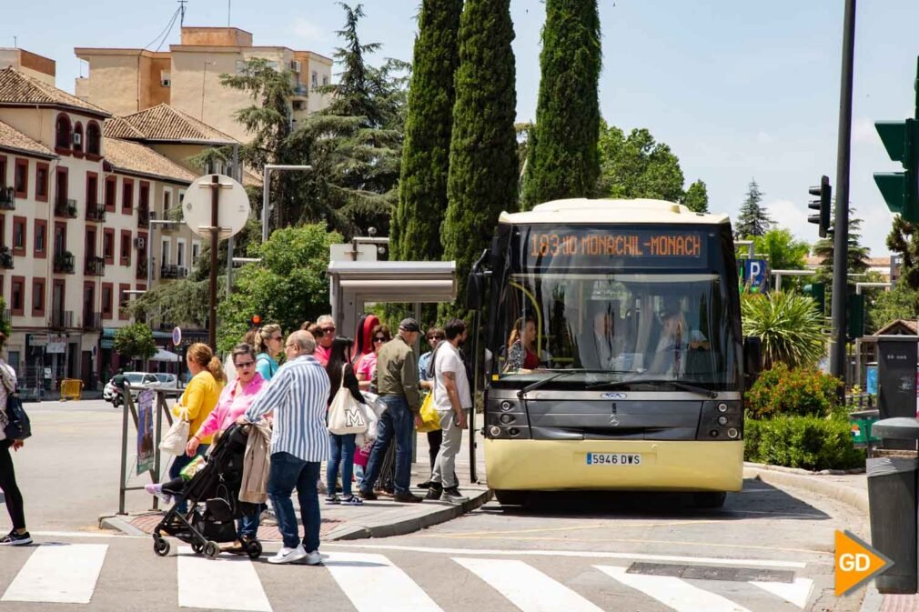 FOTOS autobuses metropolitanos (2)