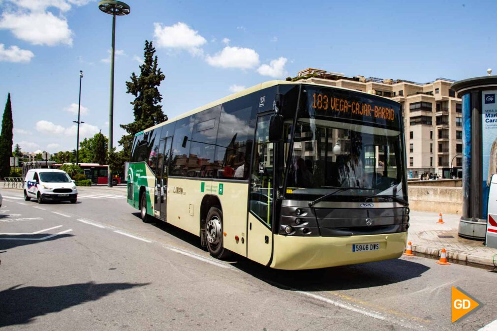 FOTOS autobuses metropolitanos (6)