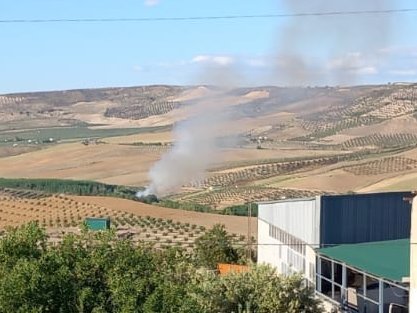 Incendio forestal en Alhama de Granada