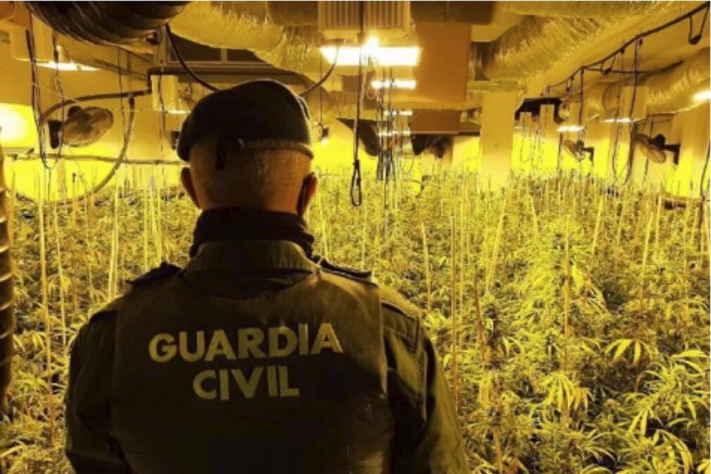 Granada.- Sucesos.- En buen estado un niño de once años hallado solo en una vivienda con plantas de marihuana