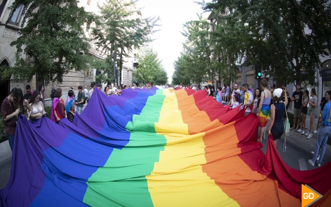 Vox se opone a una declaración institucional en el Pleno del Ayuntamiento de Granada por el Día del Orgullo