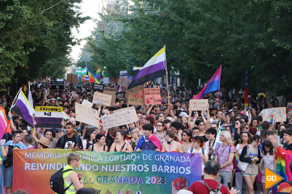 manifestacionorgullo_raquelochoa-13